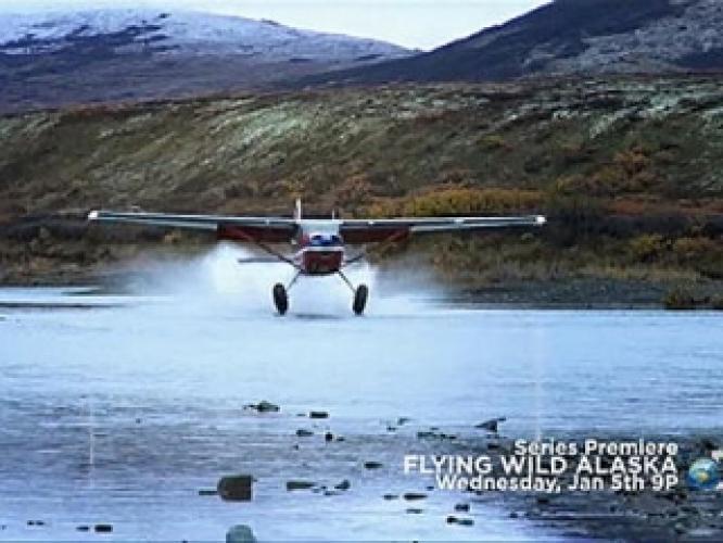 abingdon chelsea welch flying wild alaska
